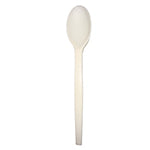 Spoon Heavy Weight Natural PSM Biodegradable Cutlery