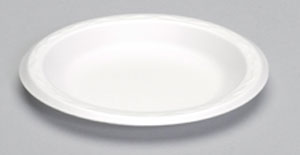 Celebrity 6" White Plate Non Laminated Foam