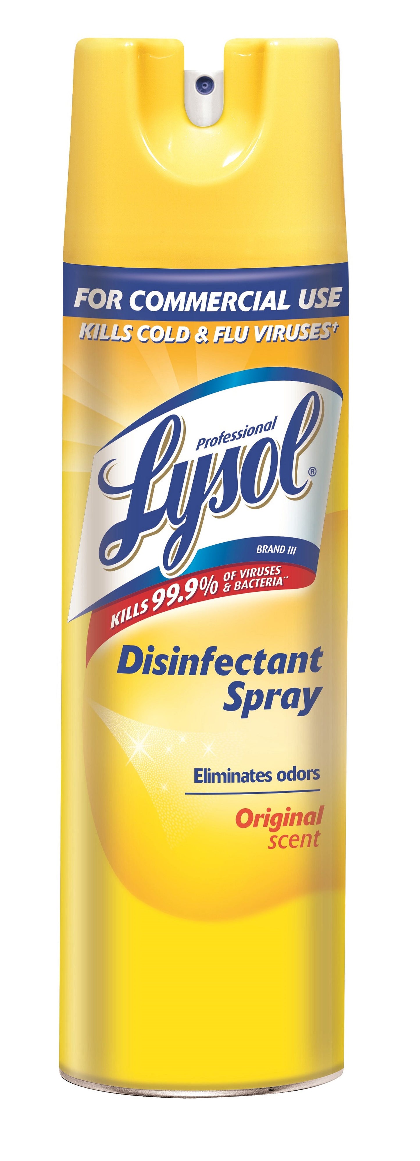 Lysol Disinfectant Spray 19 oz. Original Scent