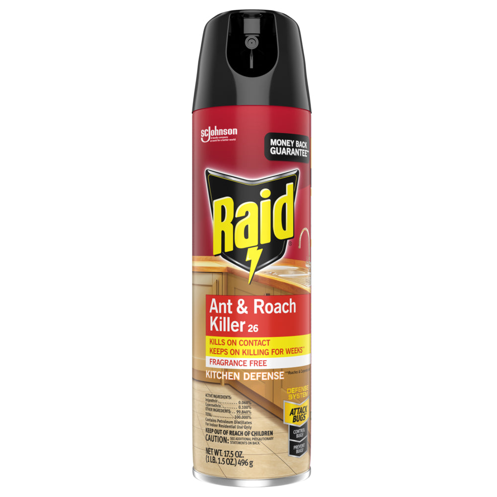 Raid Ant & Roach Killer 17.5 oz. Aerosol No Fragrance