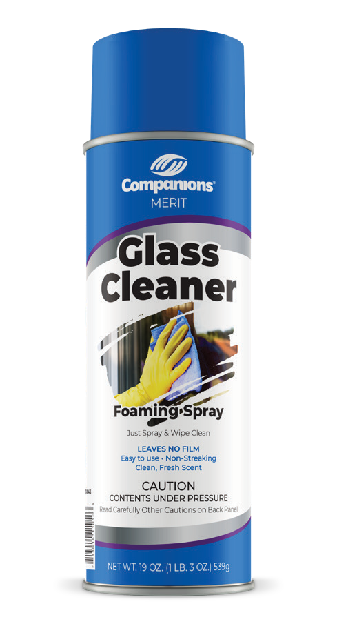 Aerosol - Glass Cleaner 19 oz, White Foam
