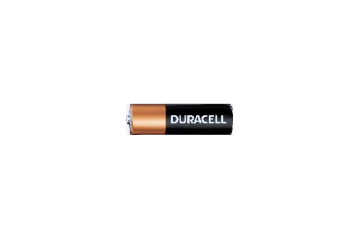 AA Batteries Coppertop 1.5 V
